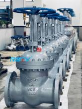 GATE VALVE GB/DIN STANDARD PN64 WCB FLANGED DN500