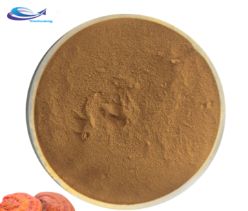 SUPPLY Mushroom Extract Powder Lingzhi powder