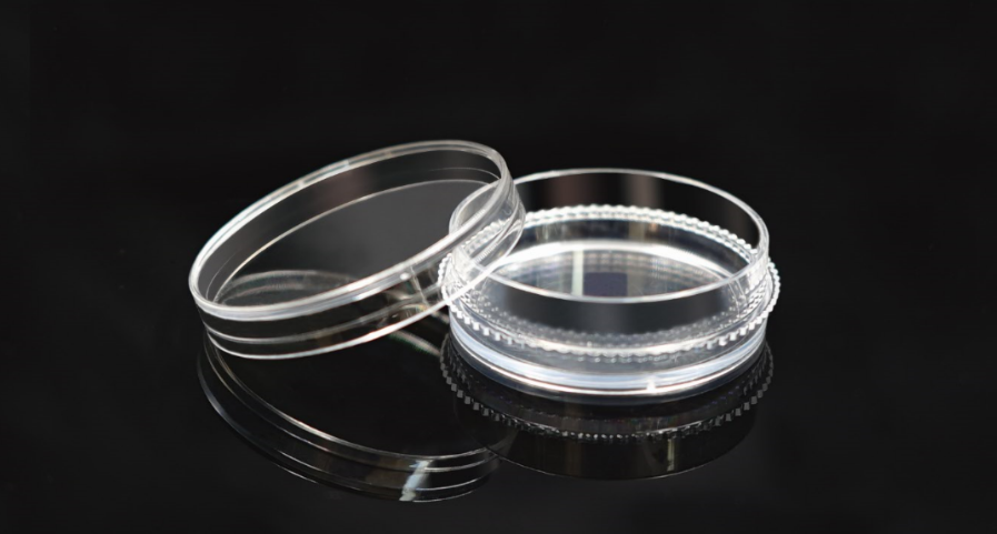 Cell Culture Dishes­­­­­­­­­­­­­­­­­­­­­­­­­­­­­