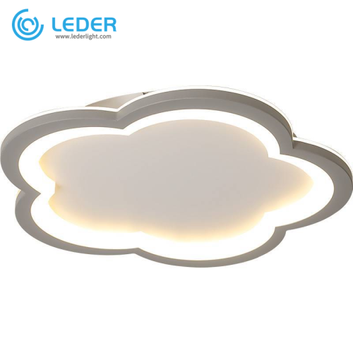 Illuminazione a soffitto decorativa LEDER