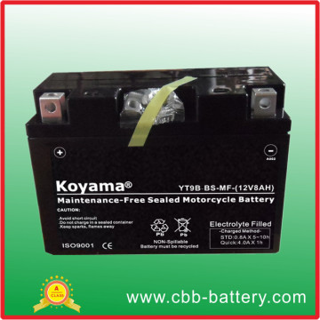 12V 9ah Motorcycle Riding Mower Battery ATV Motor Battery Yt9b-Bs