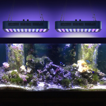 Excelente lámpara de tanque de agua dulce LED luces de acuario