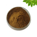 Supple Gymnema Extract powder