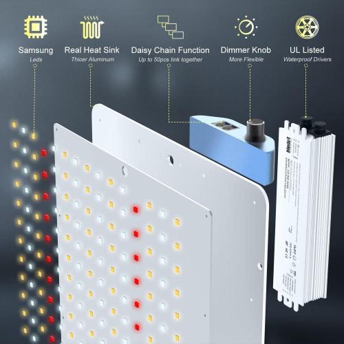 Kommerzieller Indoor -Phlizon -LED wachsen Licht