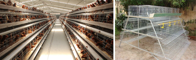 Automatic poultry cage wire mesh welding manufacture