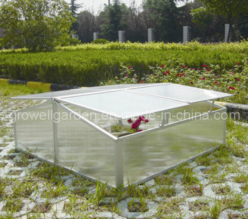 Cold Frame Greenhouse for Young Plants (C304)