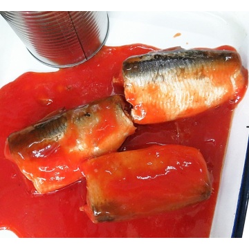 Großhandel hochwertige Sardine in Dosen in Tomatensauce