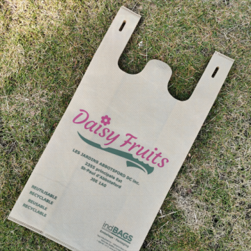 PP Non Woven Shopping Bag
