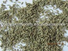Cumin