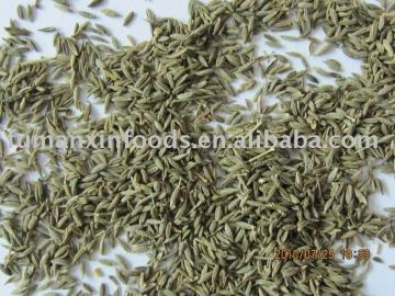 Cumin