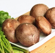Wholesale Export Shiitake Mushroom Prices