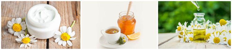 chamomile extract powder