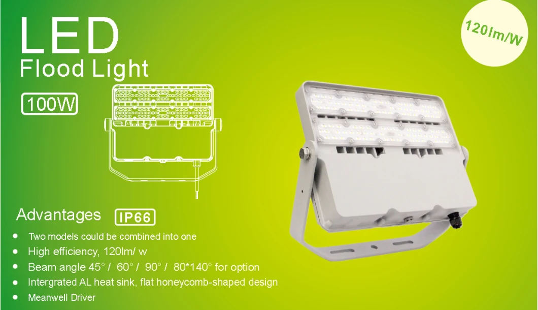 New Arrival 220V 100W LED Flood Light IP66 for Stadium