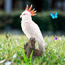 Wholesale Realistic Resin Parrot Sculpture - Garden Decoration for Indoor & Outdoor