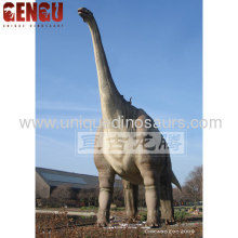 The Biggest Dinosaur In The World?