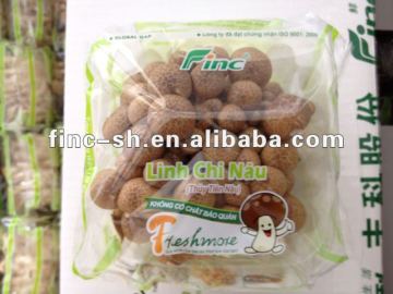 mushroom edible fungus