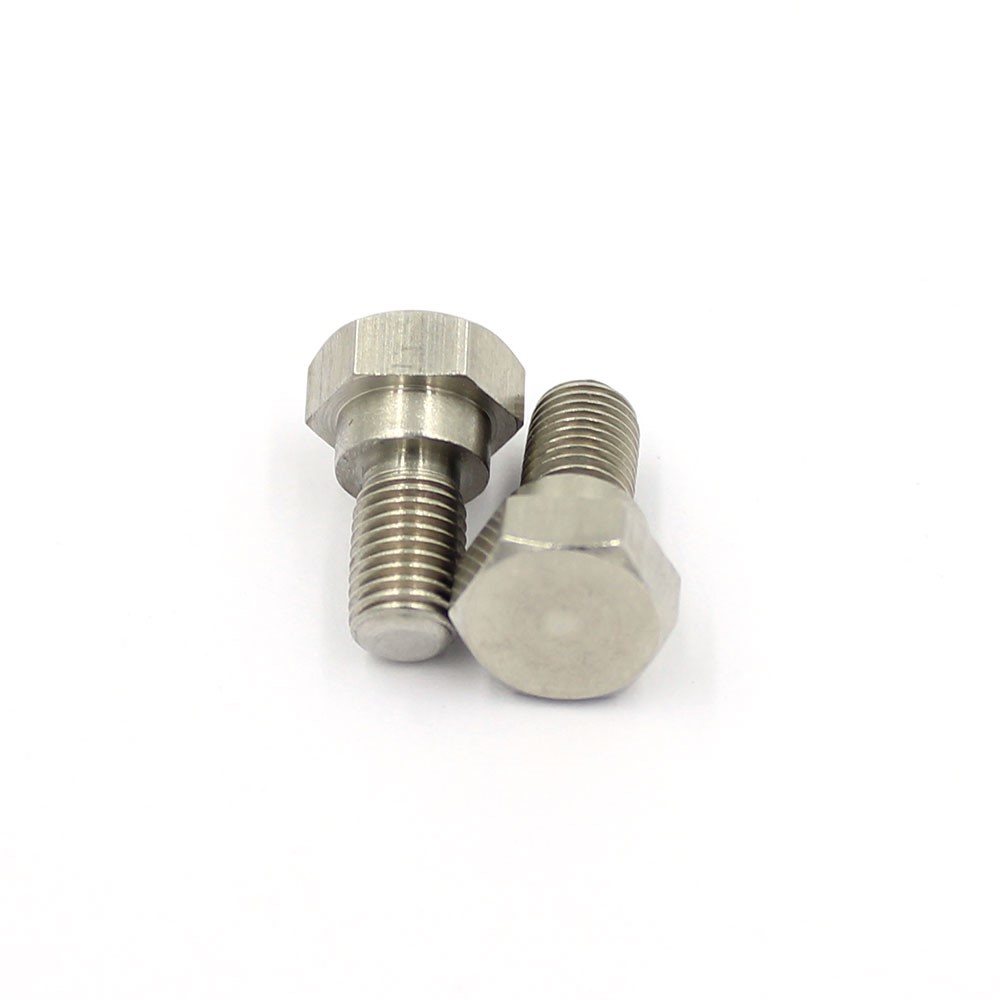 Customized Stainless Steel Fastener Hggex Head Bogglts