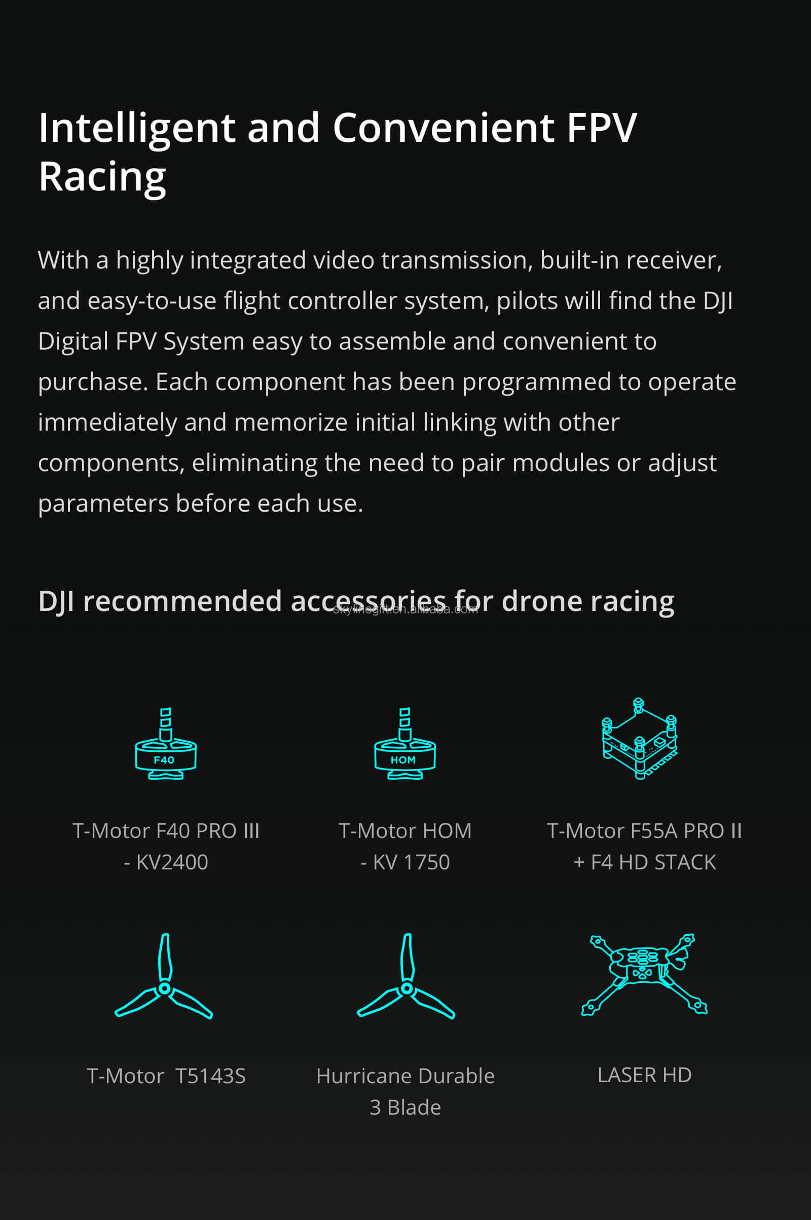 DJI FPV Experience Combo