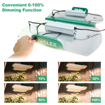 QB 사전 조립 된 양자 보드 LED Grow Light