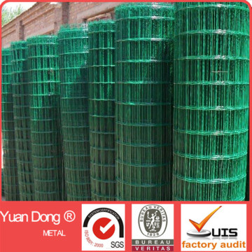 holland wire mesh /holland welded wire mesh/holland wire mesh fence