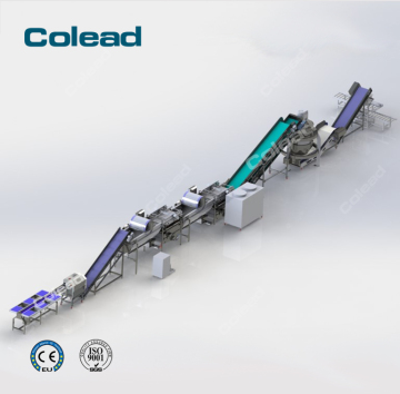 Automatic vegetable processing IQF vegetable processing line
