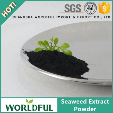 Worldful Manufacturer Seaweed Powder/Sargassum Seaweed/Seaweed Extract