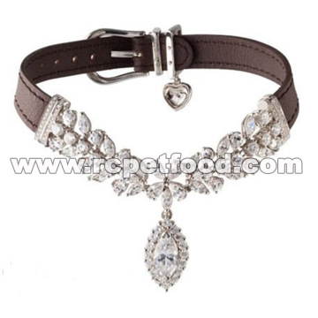 Dog Collar Personalize Customize