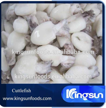 High Quality Cuttlefish Frozen Cuttlefish