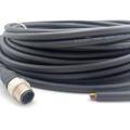 M12 Male straight connection cable 12pin black cable