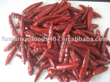 Chilli red small