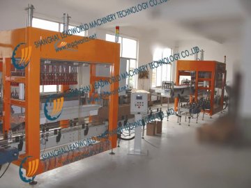 Carton Packer(Box/Case)