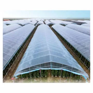 Greenhouse UV Film Transparent Agricultural Plastic Film