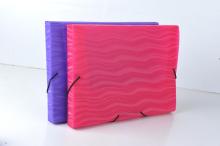 PP accordion easy identification file box