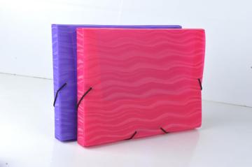 PP accordion easy identification file box