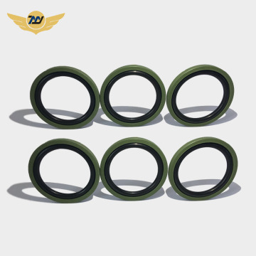 Hydraulic piston seals PTFE glyd ring