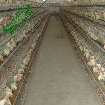 strong structure chicken cage for farming