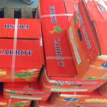 fresh good quality delicious carrot