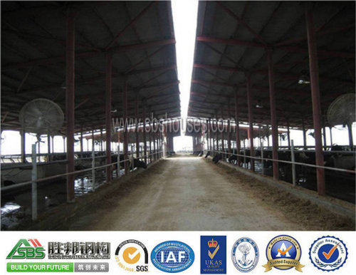 prefab steel structure cowshed,professional design