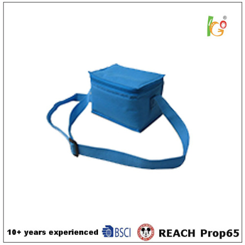 waterproof cooler bag and non-woven picnic bag