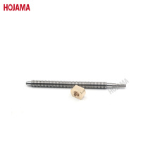 Tr6 Stainless Steel Lead Screw with Brass Nut
