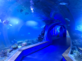 Tunnel dell&#39;acquario acrilico del ristorante World Underwater.