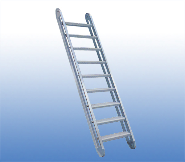Aluminium Pipe Vertical Ladder