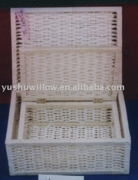 willow storage case