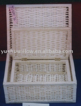 willow storage case