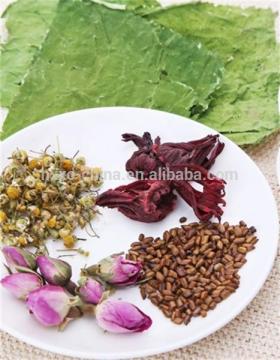 Dry Herb Lotus Leaf He Ye lose weight Slim