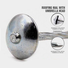 Profissional Roofing Umbrella Nail com preço agradável
