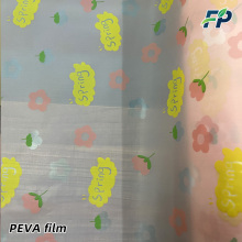Printed PEVA Waterproof Dust Cover Film