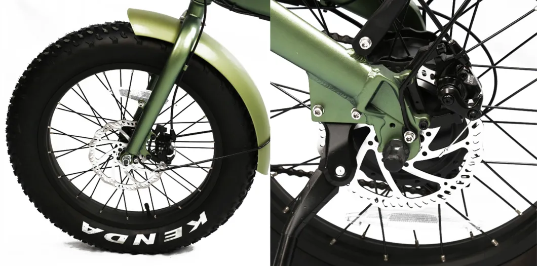 20inch Folding Electric Bike Fat Tire Foldable Ebike