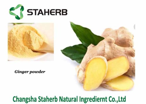 Ginger Root powder water soluble