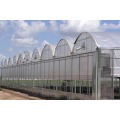 Poly multi span Greenhouse film greenhouse flower greenhouse